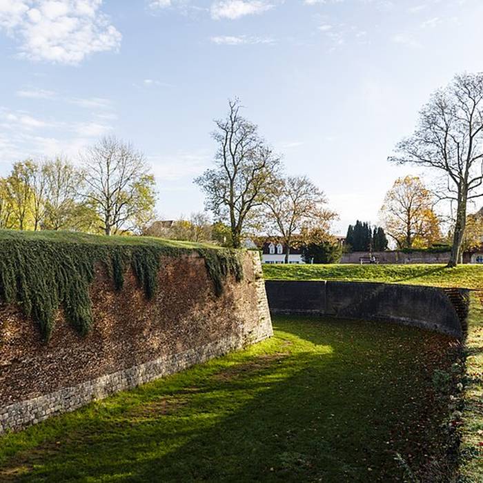 Photo de Remparts de Montreuil 