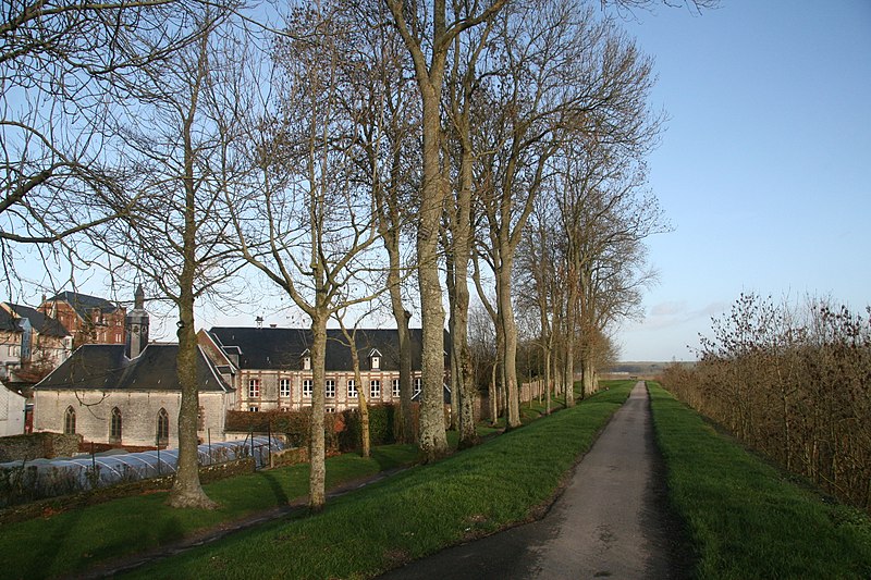 Remparts de Montreuil 
