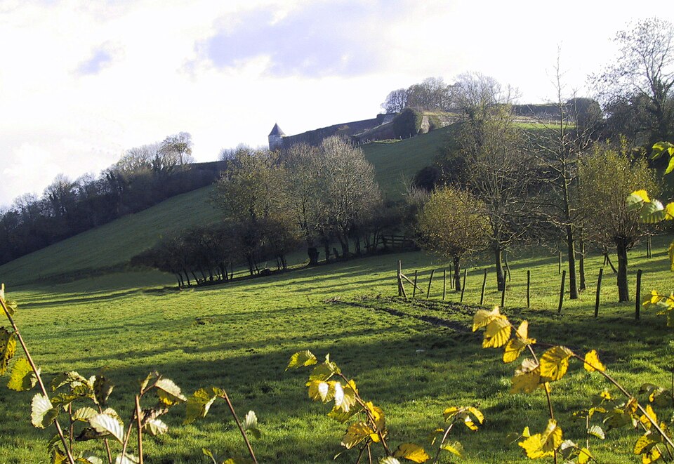 Remparts de Montreuil 