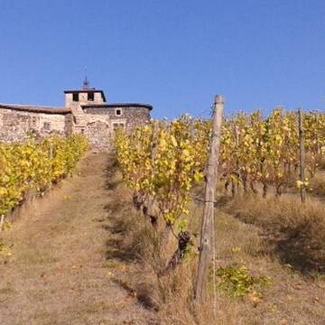 Remparts de Montverdun
