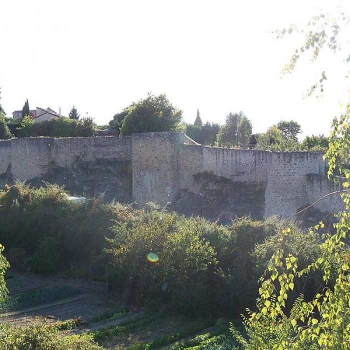 Photo de Remparts de Parthenay