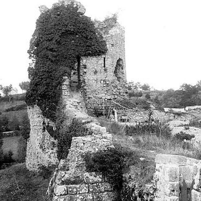 Photo de Remparts de Parthenay