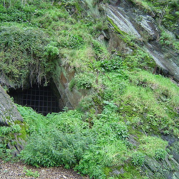 Photo de Remparts de Saint-Lô