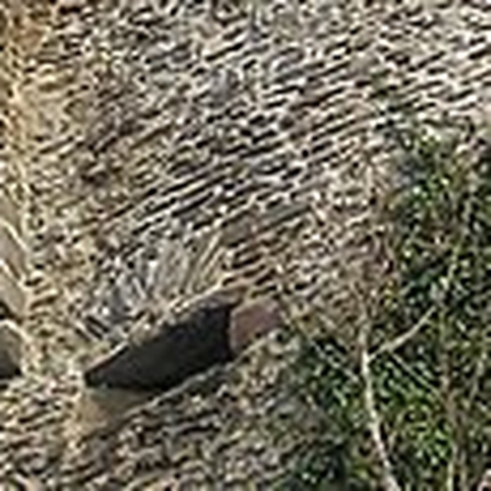 Photo de Remparts de Saint-Lô