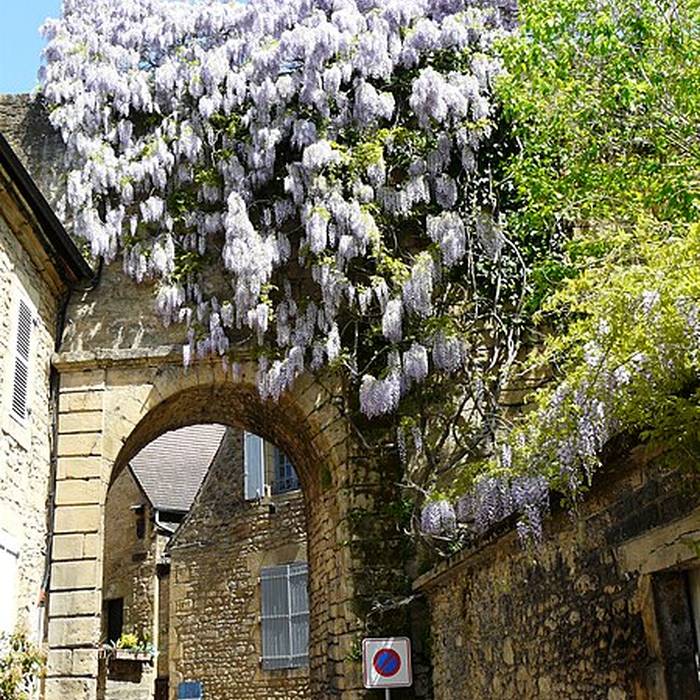 Photo de Remparts de Sarlat-la-Canéda