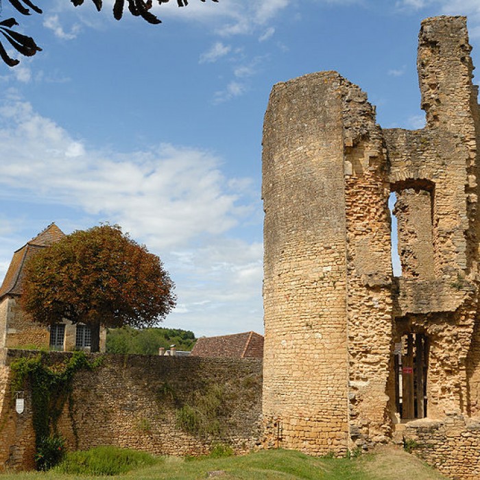 Photo de Restes de la tour de Saint-Alvere