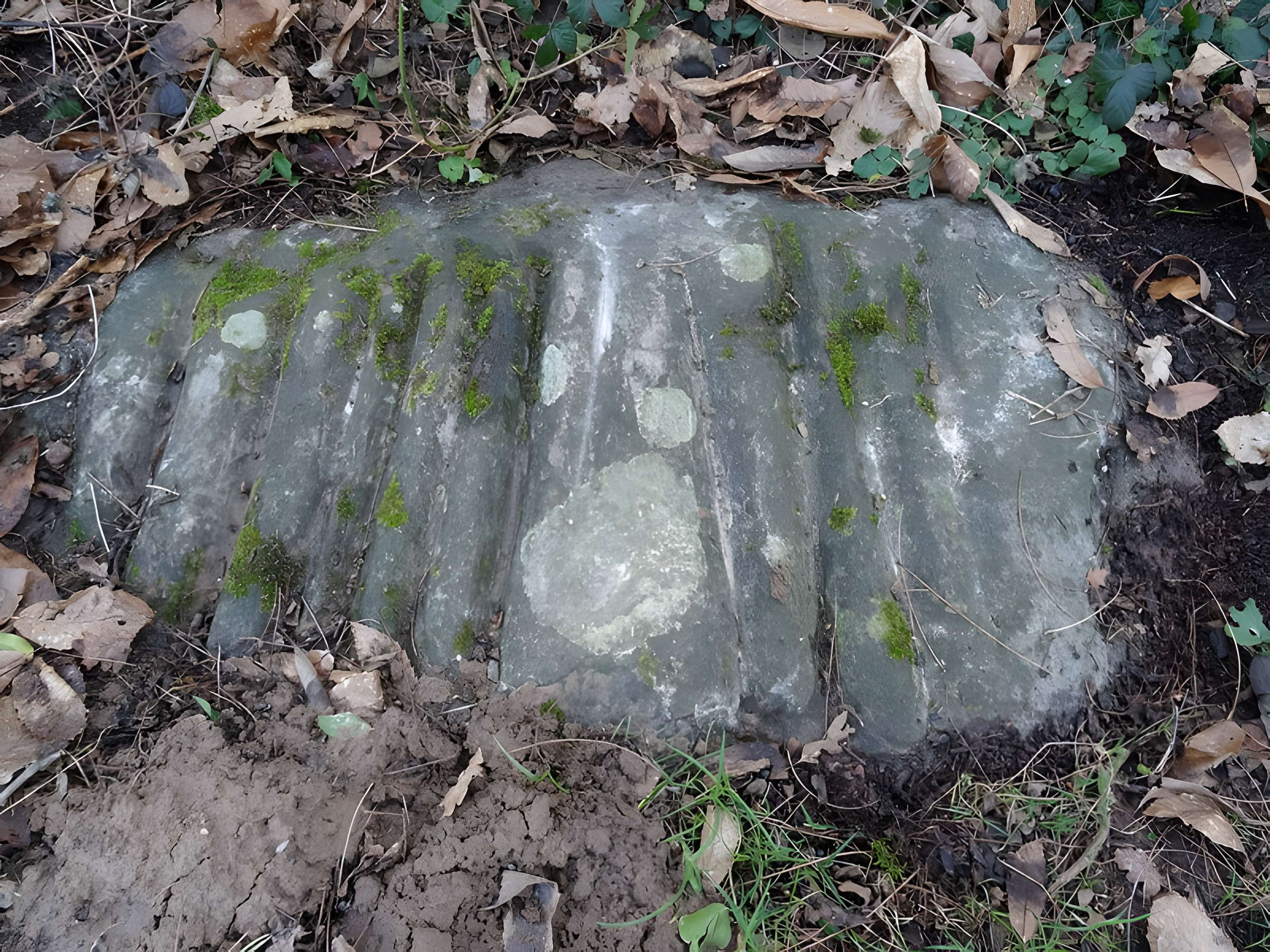 Roche Grénolée de Moigny-sur-École 