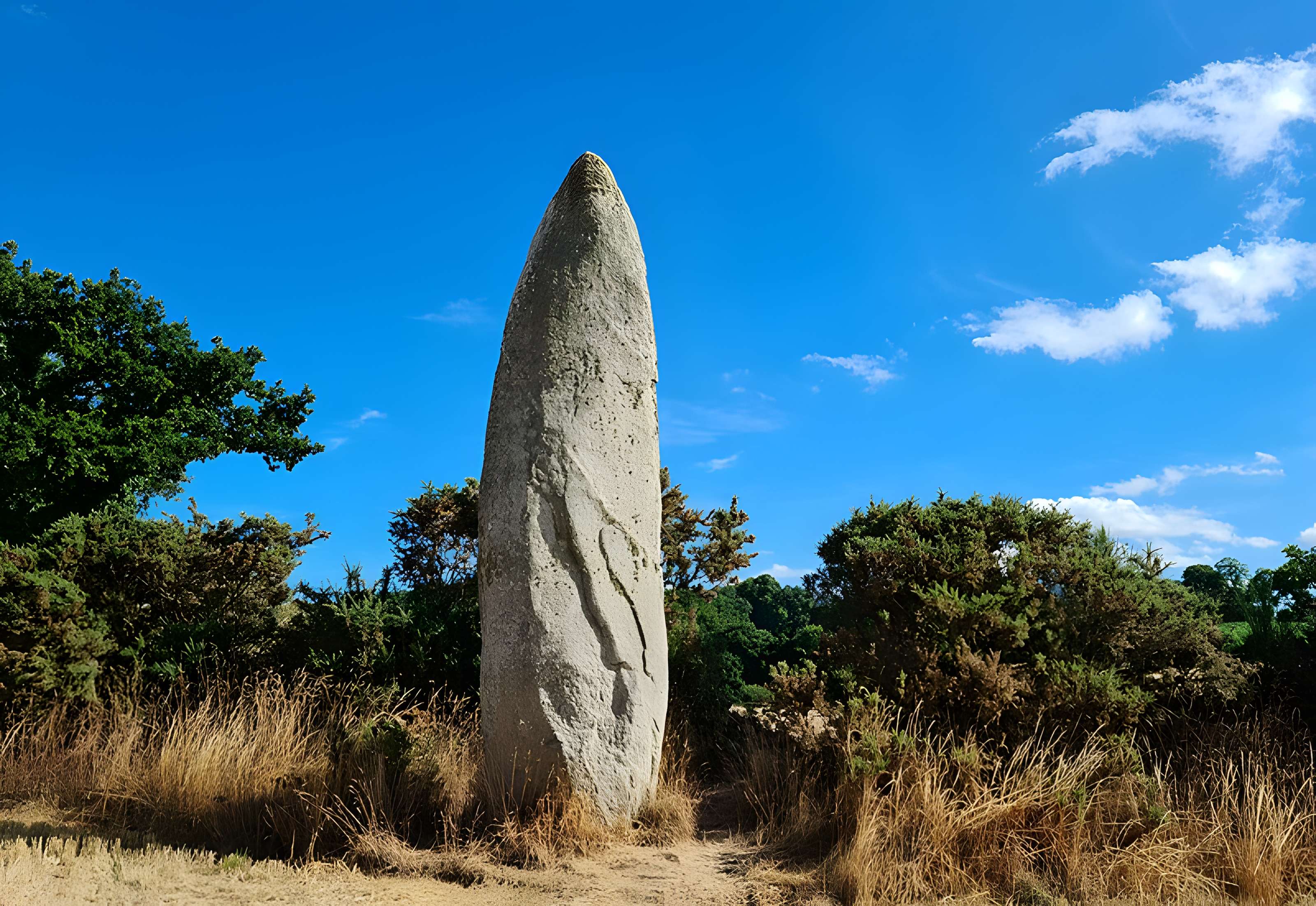 Roche Longue de Quintin