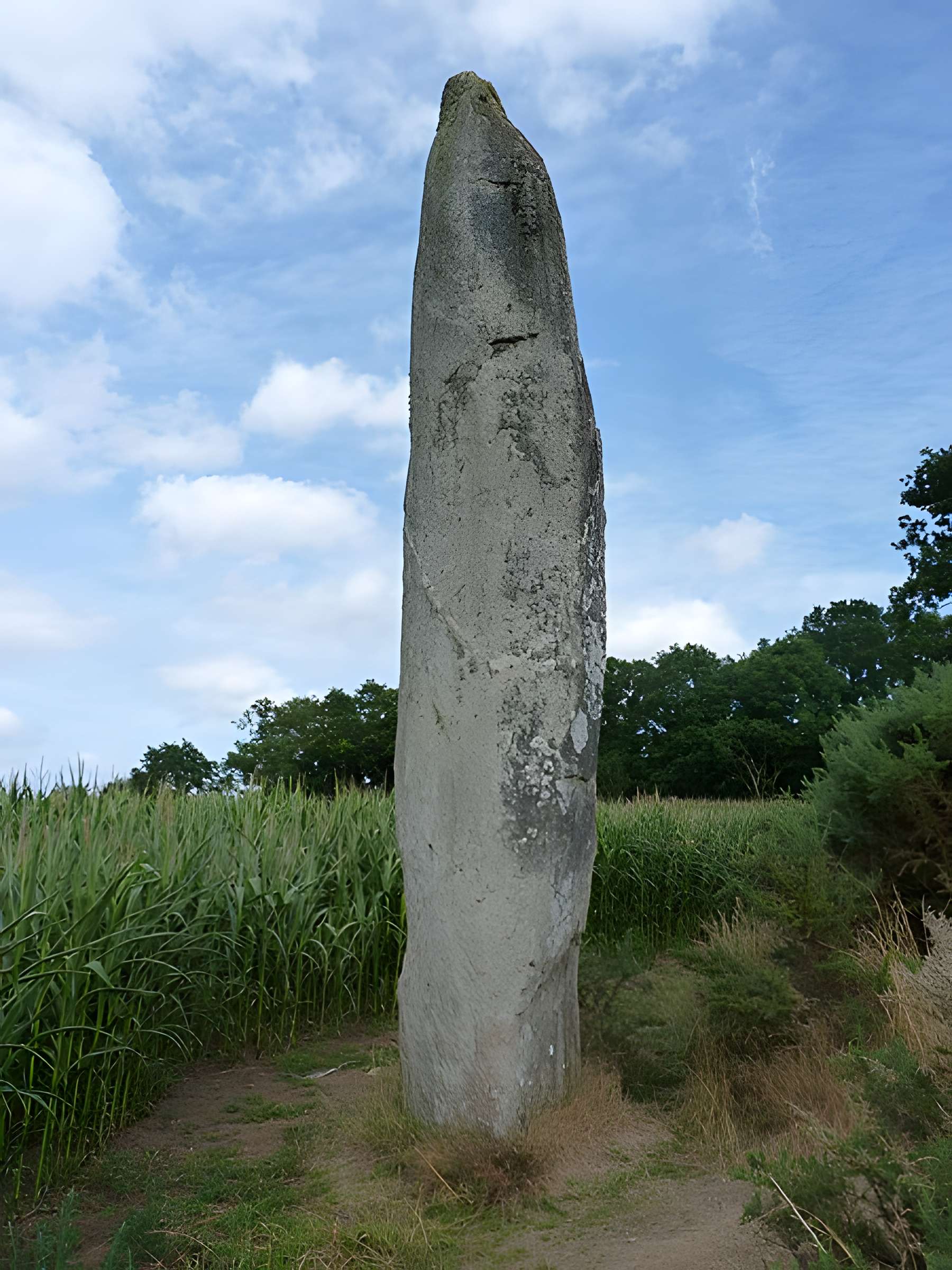 Roche Longue de Quintin