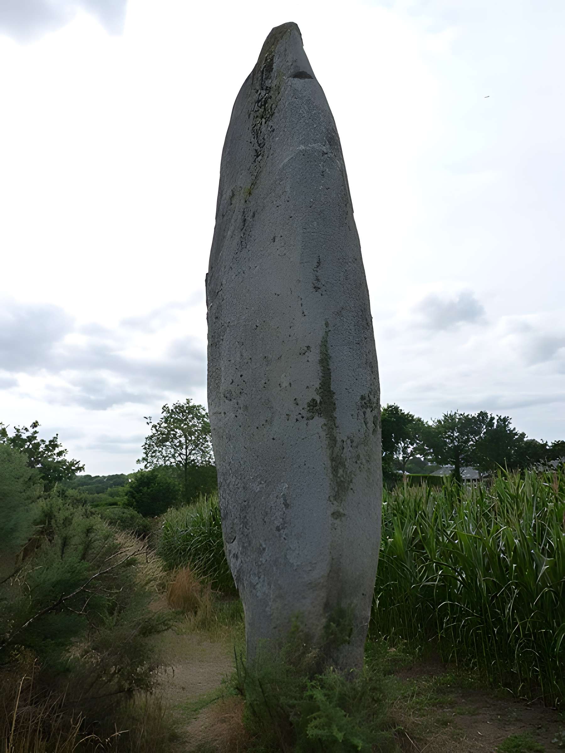 Roche Longue de Quintin