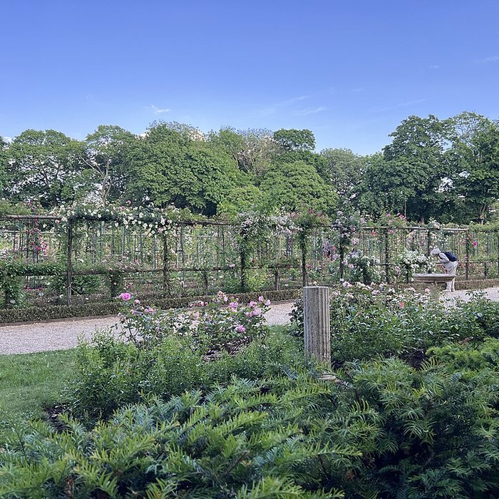 Photo de Roseraie du Val-de-Marne à LHaÿ-les-Roses