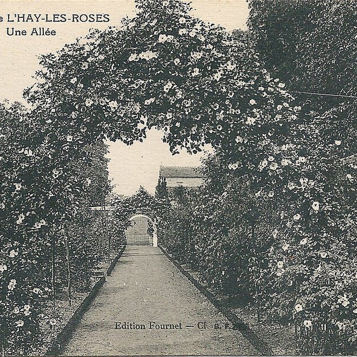 Photo de Roseraie du Val-de-Marne à LHaÿ-les-Roses