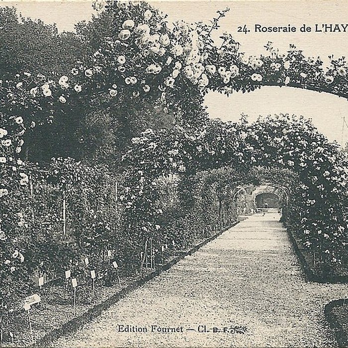 Photo de Roseraie du Val-de-Marne à LHaÿ-les-Roses