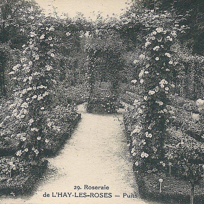 Photo de Roseraie du Val-de-Marne à LHaÿ-les-Roses