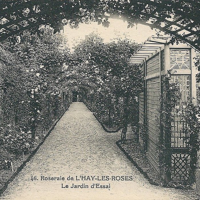 Photo de Roseraie du Val-de-Marne à LHaÿ-les-Roses