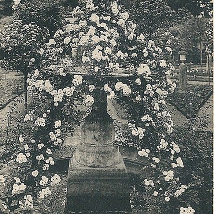 Photo de Roseraie du Val-de-Marne à LHaÿ-les-Roses