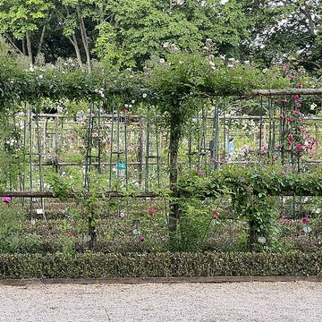 Roseraie du Val-de-Marne à LHaÿ-les-Roses