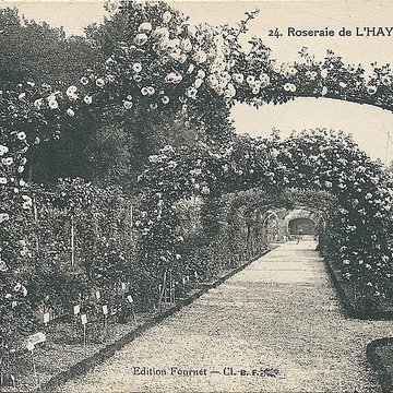 Roseraie du Val-de-Marne à LHaÿ-les-Roses