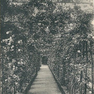 Roseraie du Val-de-Marne à LHaÿ-les-Roses
