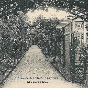 Roseraie du Val-de-Marne à LHaÿ-les-Roses
