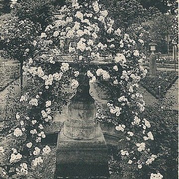 Roseraie du Val-de-Marne à LHaÿ-les-Roses