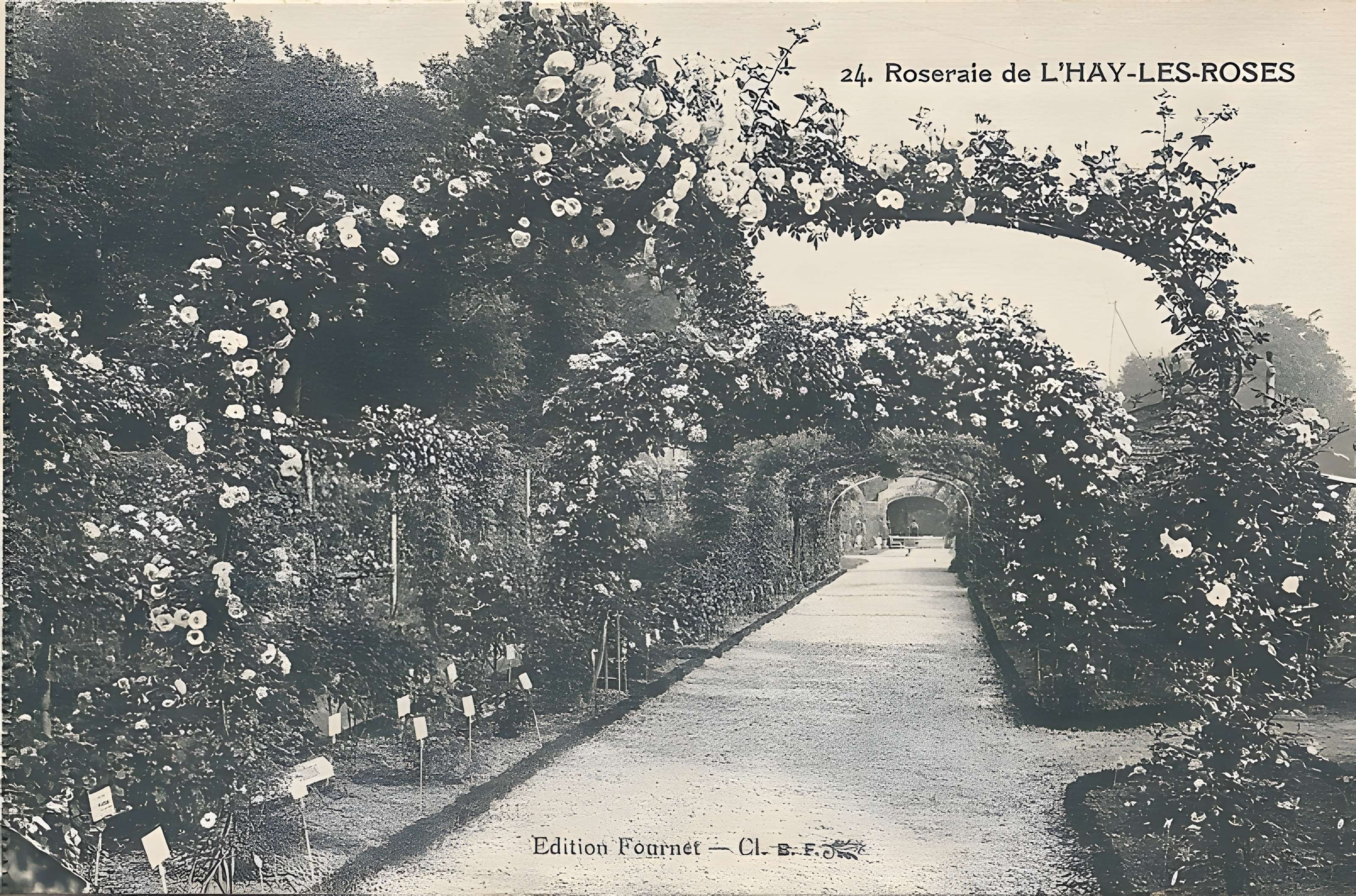 Roseraie du Val-de-Marne à L'Haÿ-les-Roses
