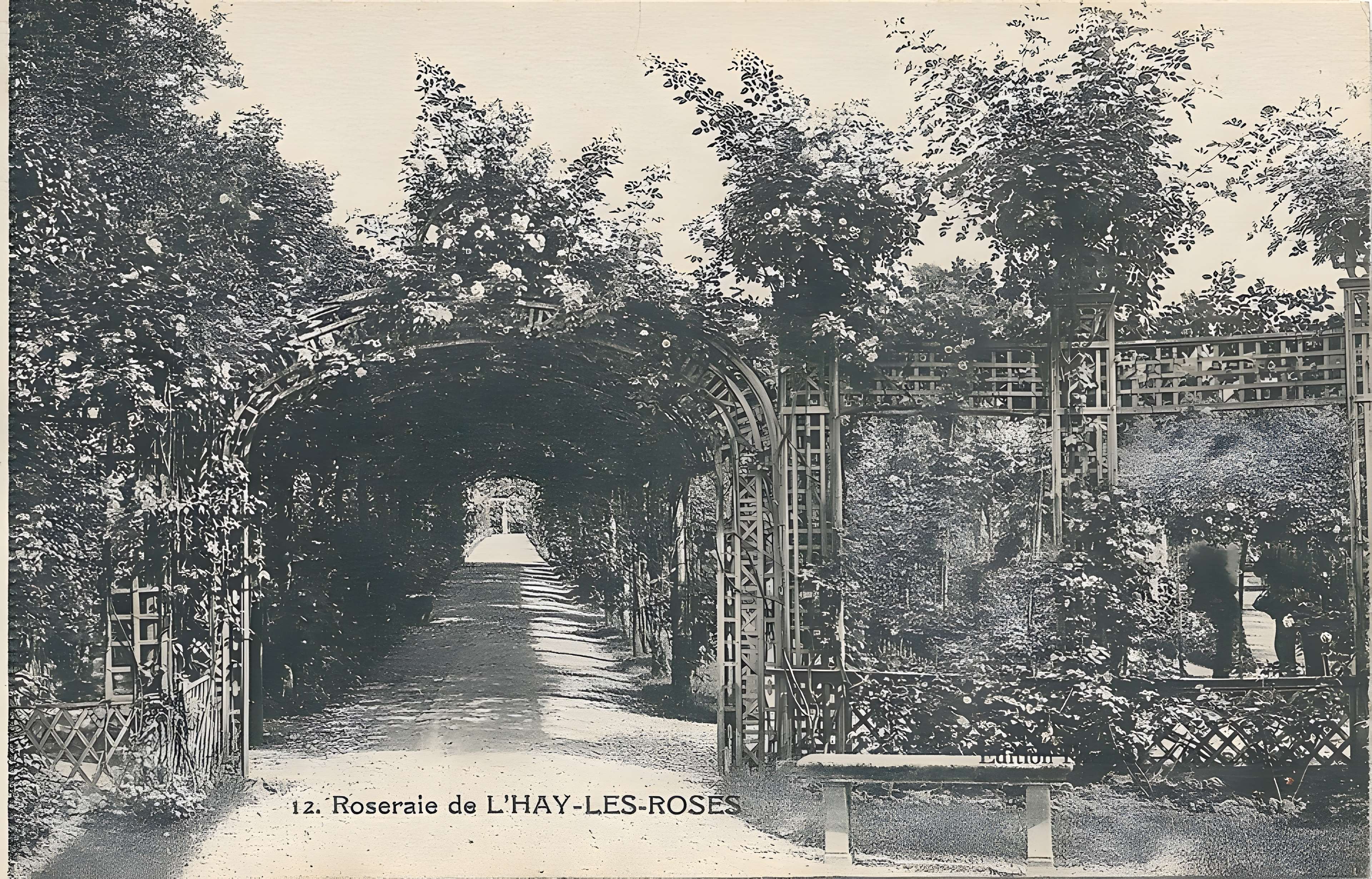 Roseraie du Val-de-Marne à L'Haÿ-les-Roses