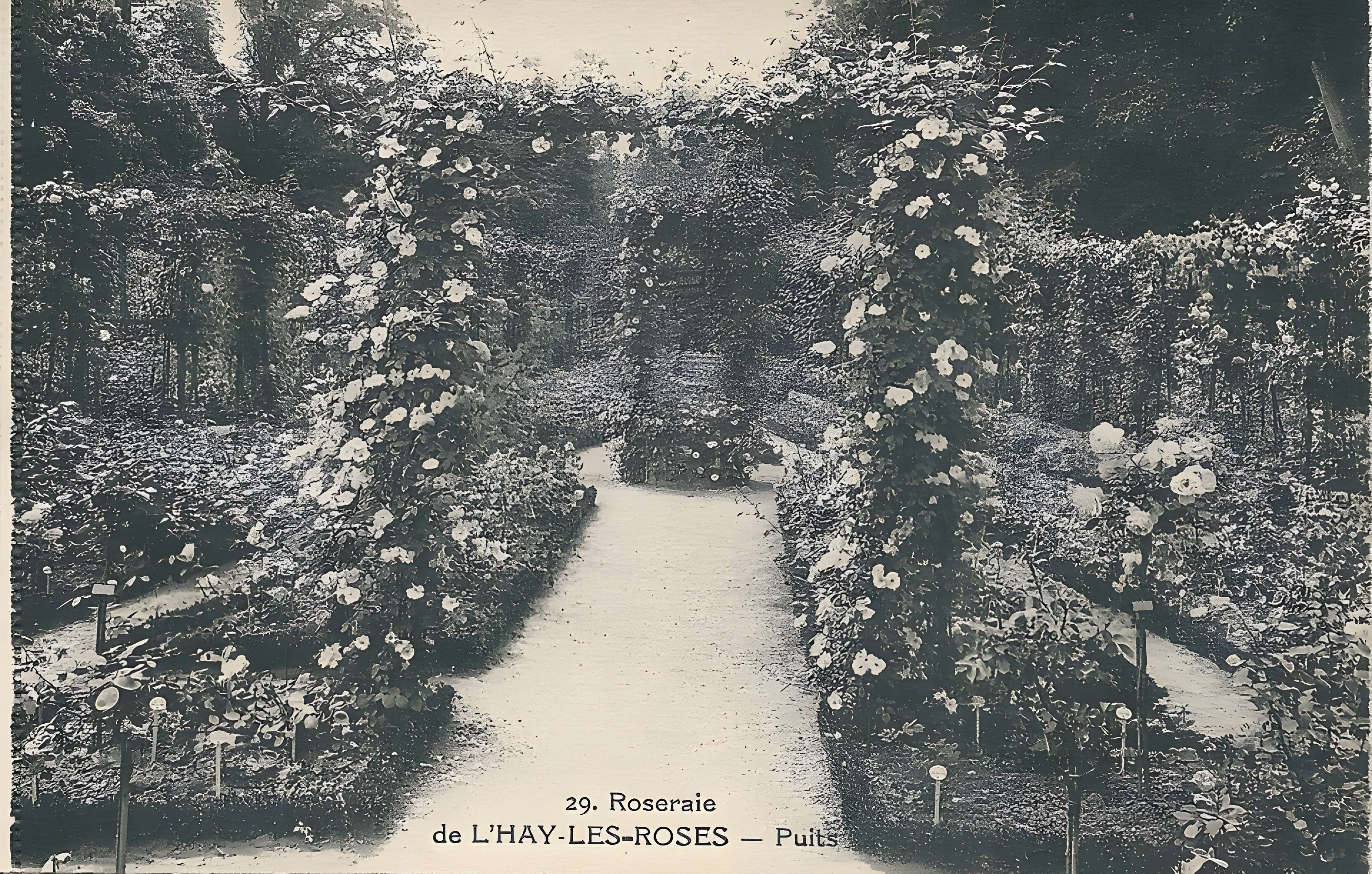 Roseraie du Val-de-Marne à L'Haÿ-les-Roses