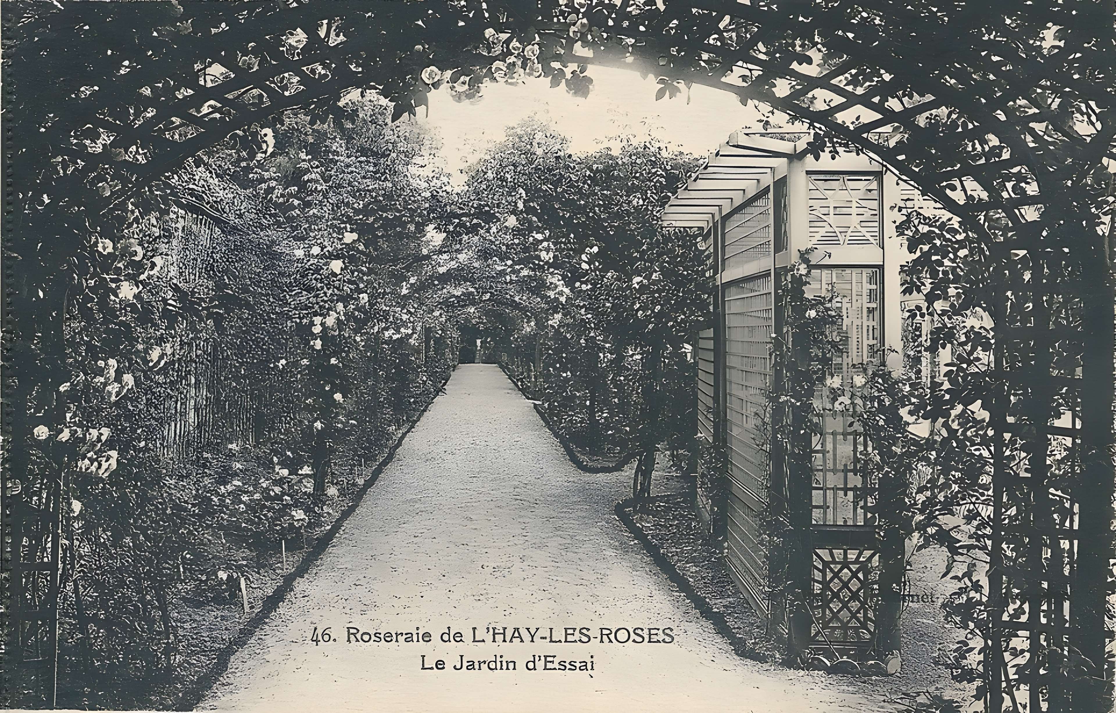 Roseraie du Val-de-Marne à L'Haÿ-les-Roses