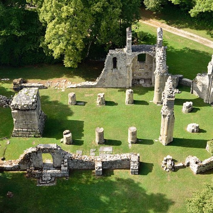 Photo de Ruine de la collégiale Saint-Germain à Montfaucon-dArgonne