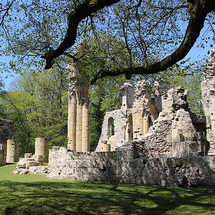 Photo de Ruine de la collégiale Saint-Germain à Montfaucon-dArgonne