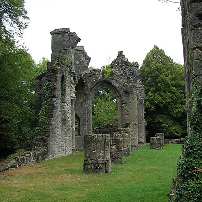 Photo de Ruine de la collégiale Saint-Germain à Montfaucon-dArgonne