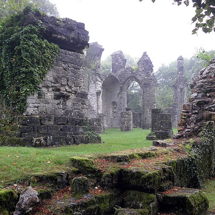 Photo de Ruine de la collégiale Saint-Germain à Montfaucon-dArgonne