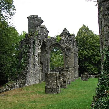 Ruine de la collégiale Saint-Germain à Montfaucon-dArgonne