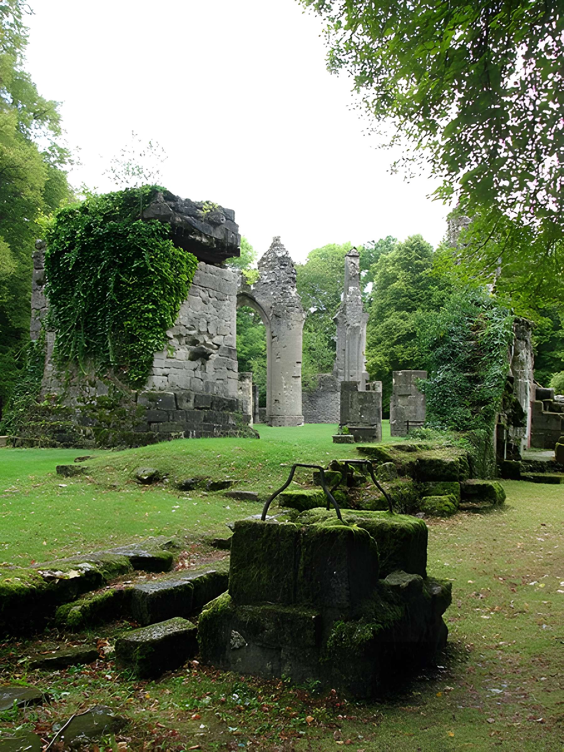 Ruine de la collégiale Saint-Germain à Montfaucon-d'Argonne