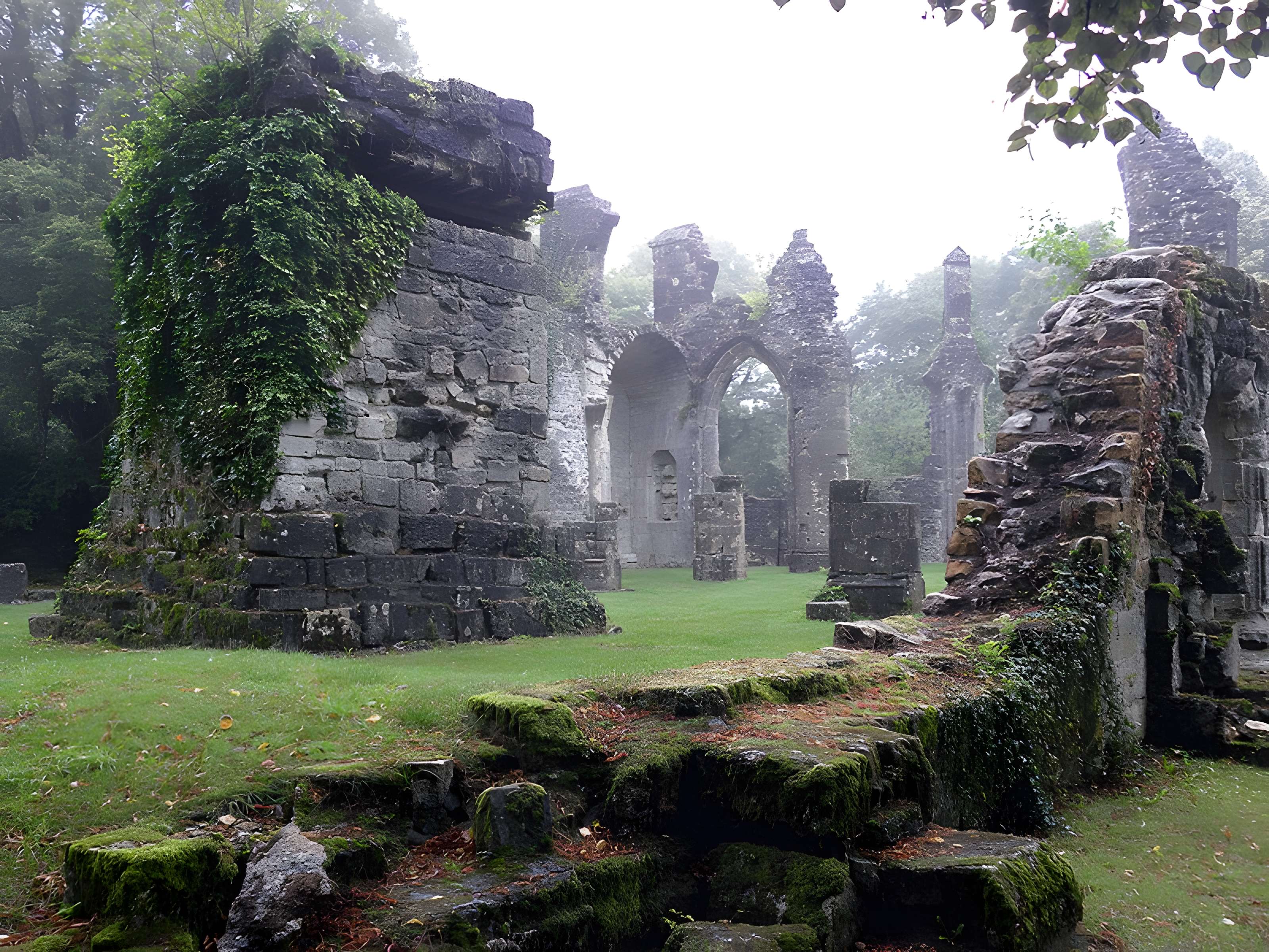 Ruine de la collégiale Saint-Germain à Montfaucon-d'Argonne