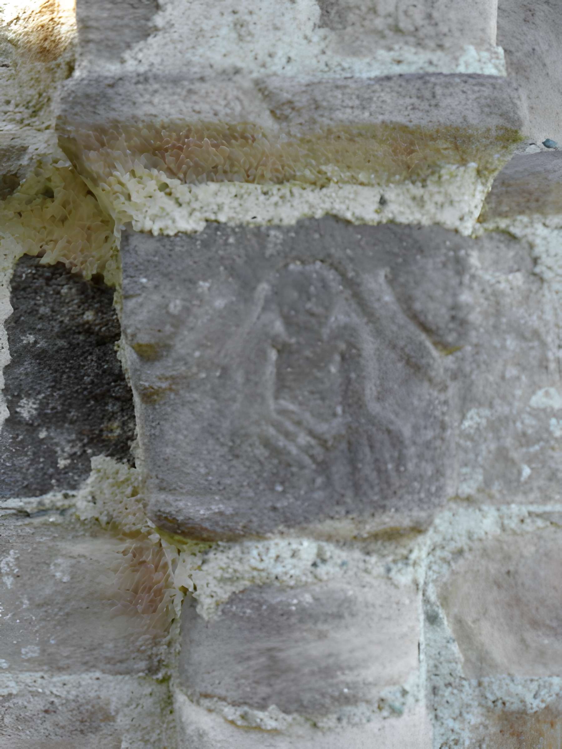 Ruines de la rotonde dite Temple de Lanleff