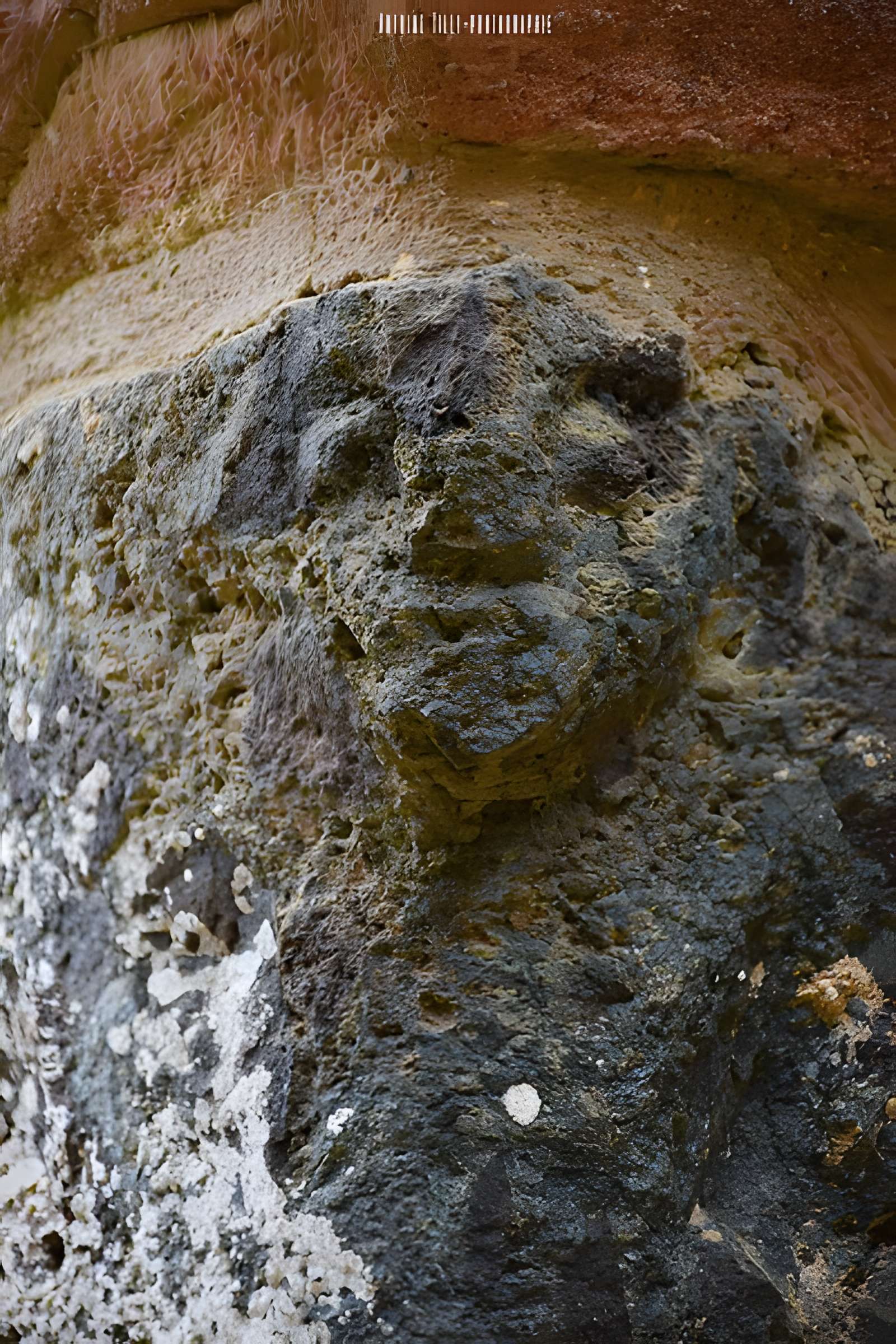 Ruines de la rotonde dite Temple de Lanleff