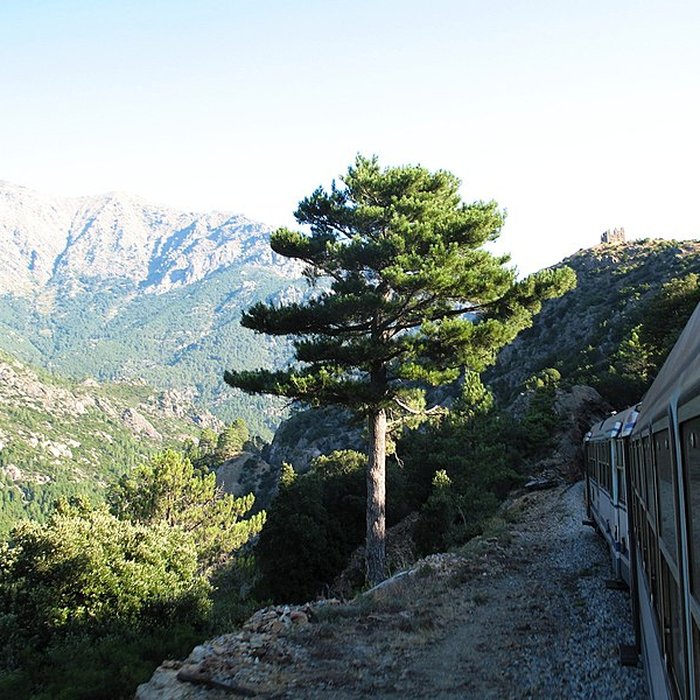 Photo de Ruines du fort de Vivario ou redoute de Pasciola
