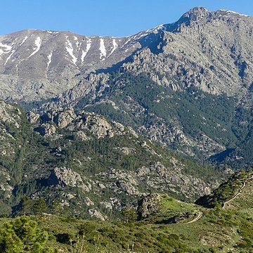 Ruines du fort de Vivario ou redoute de Pasciola