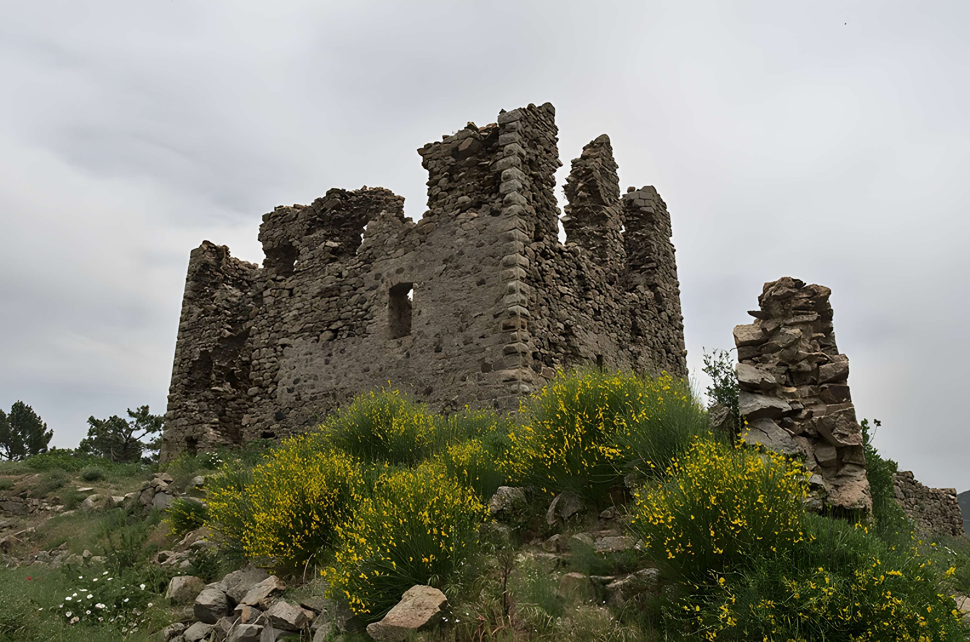 Ruines du fort de Vivario ou redoute de Pasciola