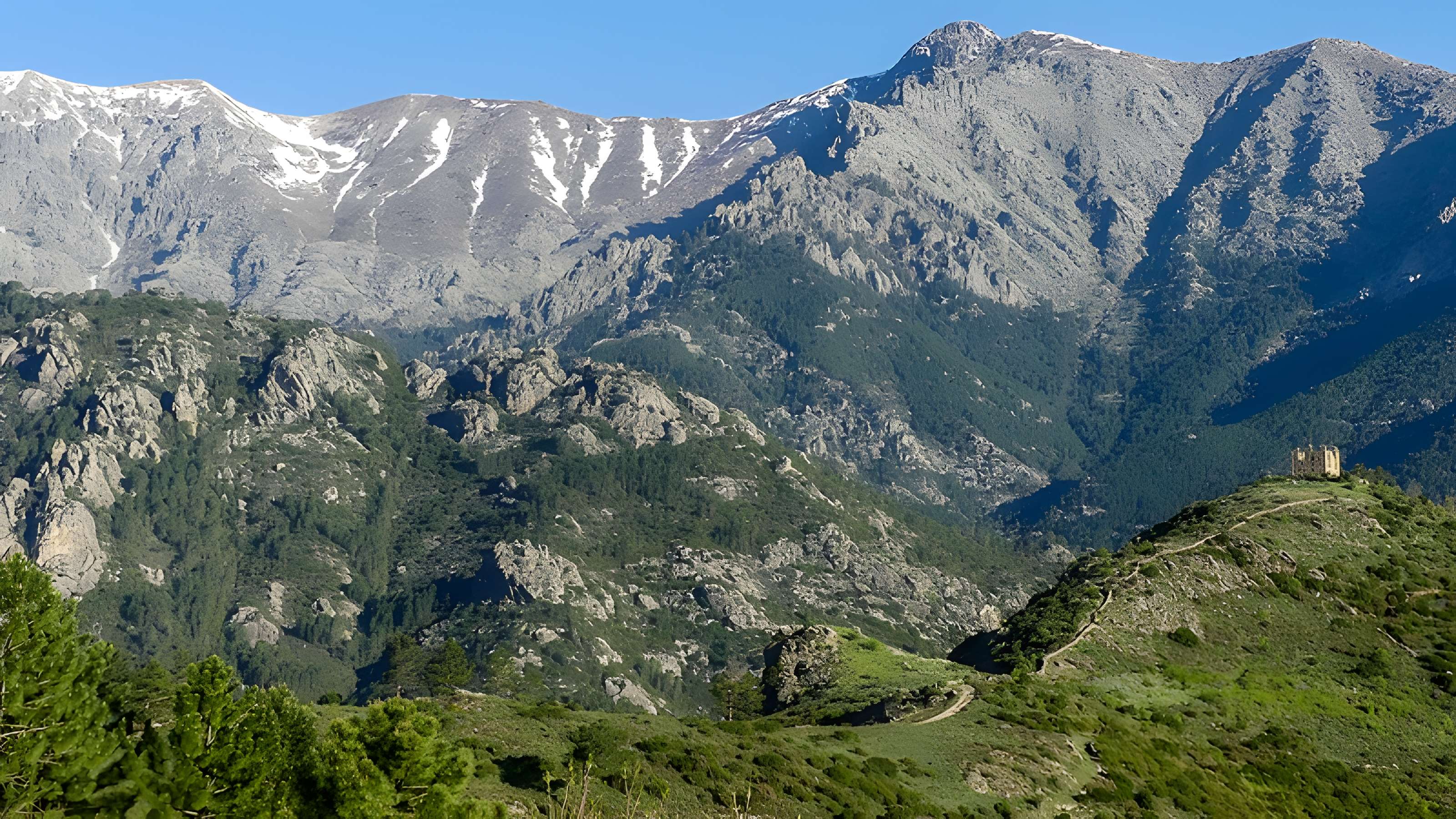 Ruines du fort de Vivario ou redoute de Pasciola