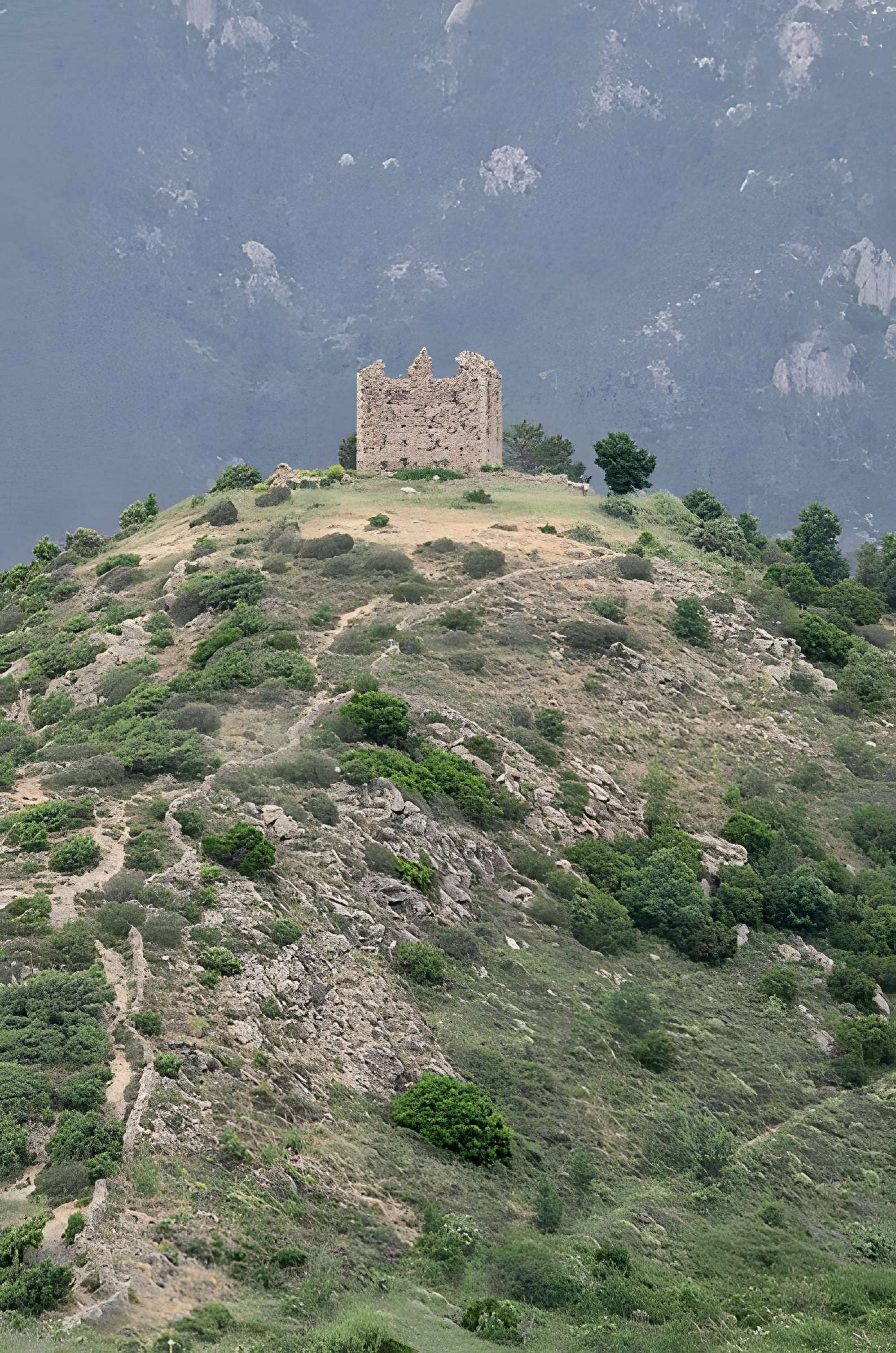 Ruines du fort de Vivario ou redoute de Pasciola