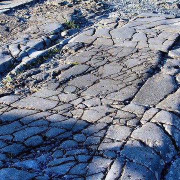 Ruines gallo-romaines de Bavay
