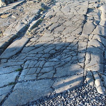 Ruines gallo-romaines de Bavay