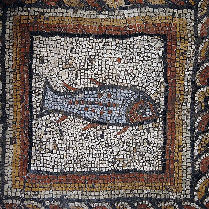 Photo de Ruines gallo-romaines de Montcaret