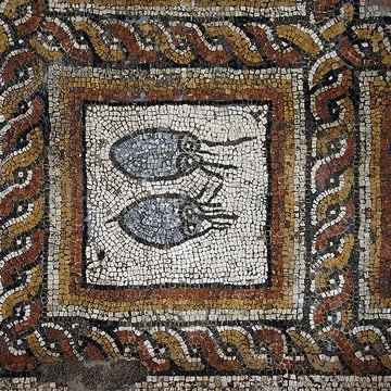 Ruines gallo-romaines de Montcaret