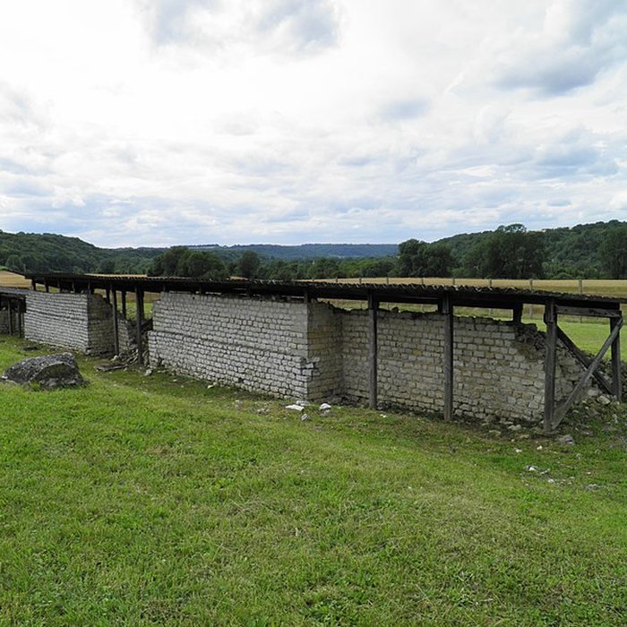 Photo de Ruines romaines de Nasium à Naix-aux-Forges