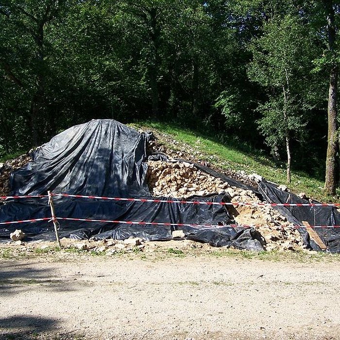 Photo de Ruines romaines de Nasium à Naix-aux-Forges