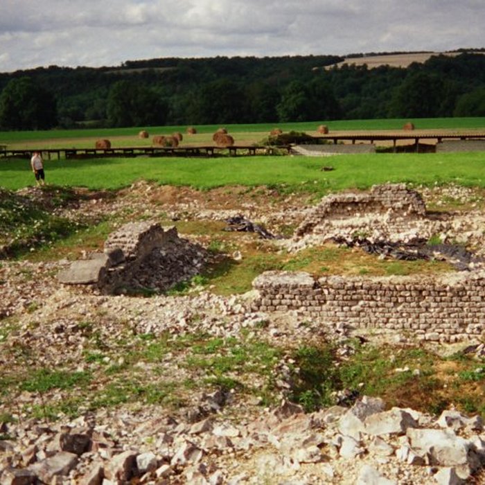 Photo de Ruines romaines de Nasium à Naix-aux-Forges